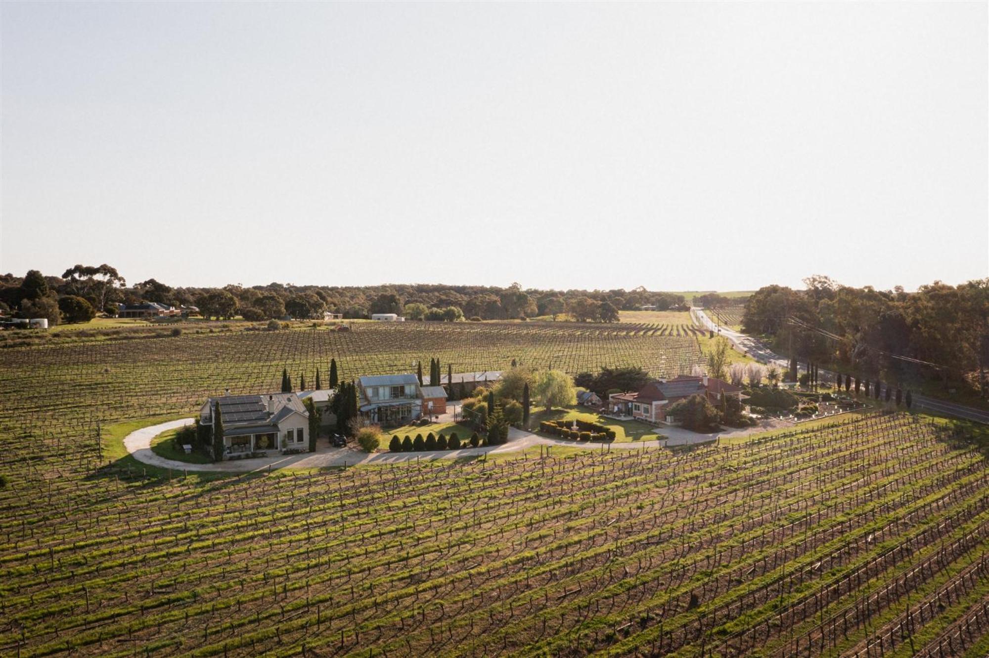 Villa Barossa Shiraz Estate à Lyndoch Extérieur photo