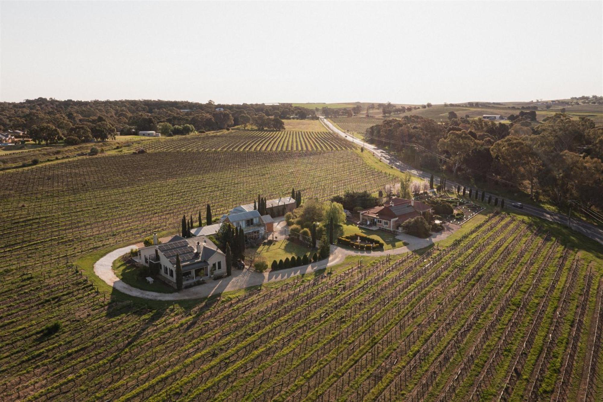 Villa Barossa Shiraz Estate à Lyndoch Extérieur photo