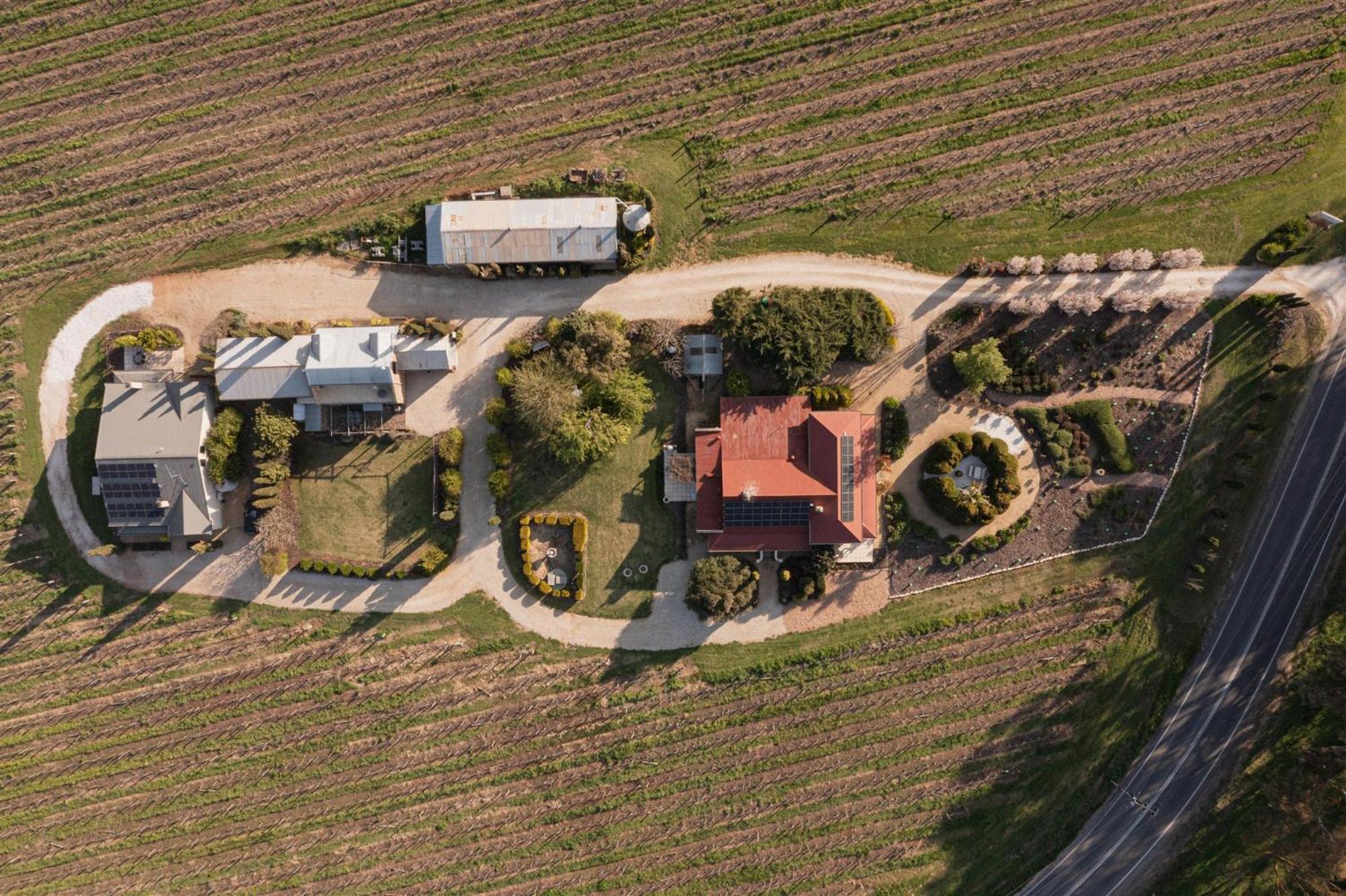 Villa Barossa Shiraz Estate à Lyndoch Extérieur photo