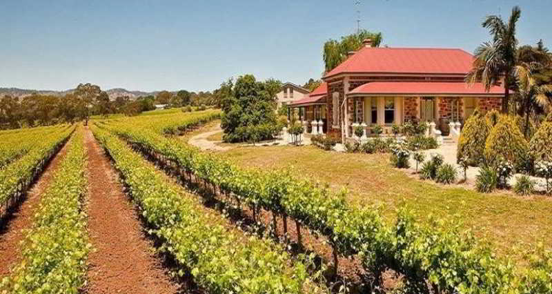 Villa Barossa Shiraz Estate à Lyndoch Extérieur photo