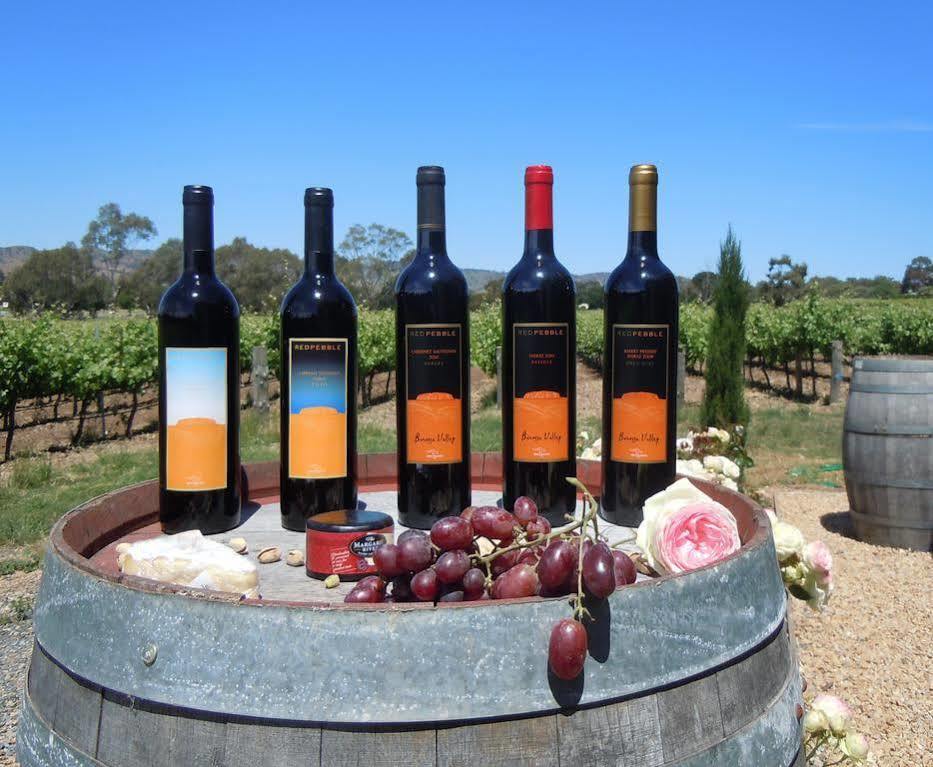Villa Barossa Shiraz Estate à Lyndoch Extérieur photo
