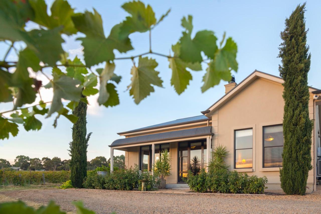 Villa Barossa Shiraz Estate à Lyndoch Extérieur photo