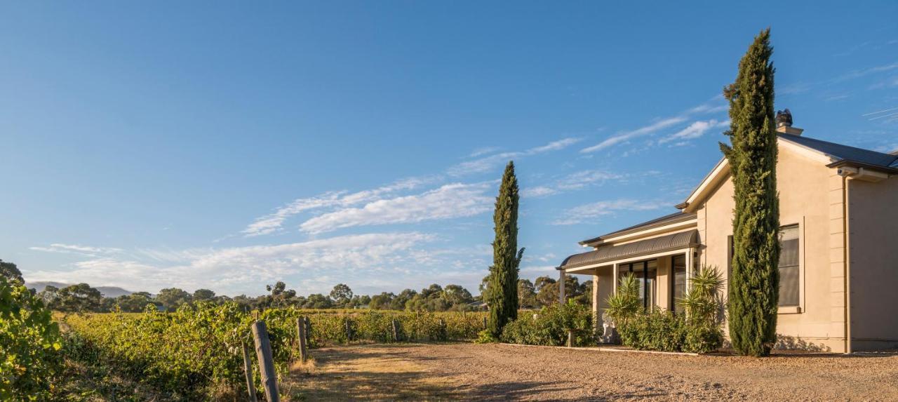 Villa Barossa Shiraz Estate à Lyndoch Extérieur photo