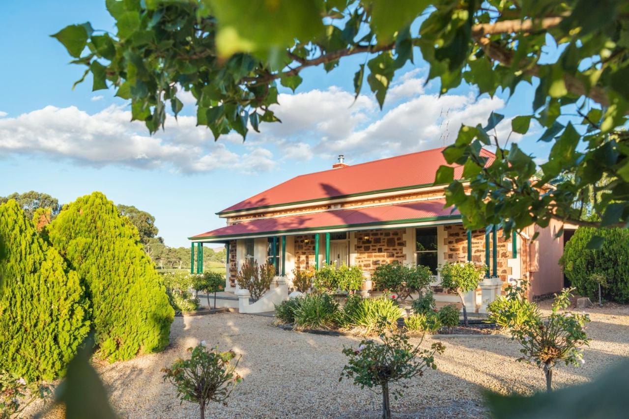 Villa Barossa Shiraz Estate à Lyndoch Extérieur photo