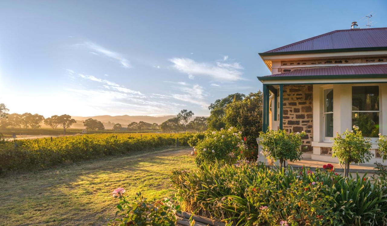 Villa Barossa Shiraz Estate à Lyndoch Extérieur photo